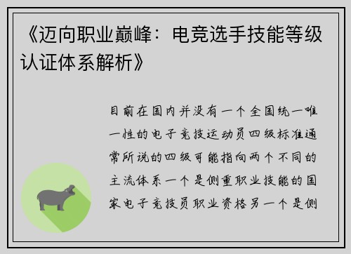 《迈向职业巅峰：电竞选手技能等级认证体系解析》